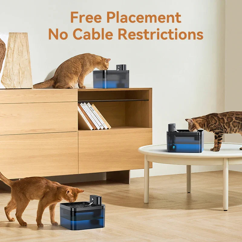 Smart Cat Hydration Station