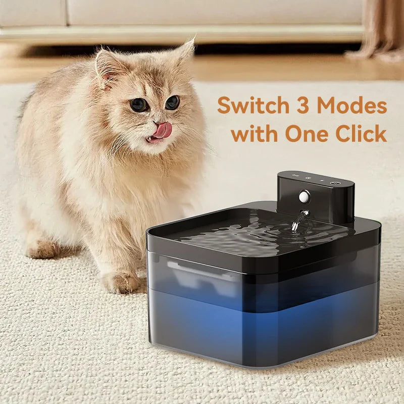 Smart Cat Hydration Station