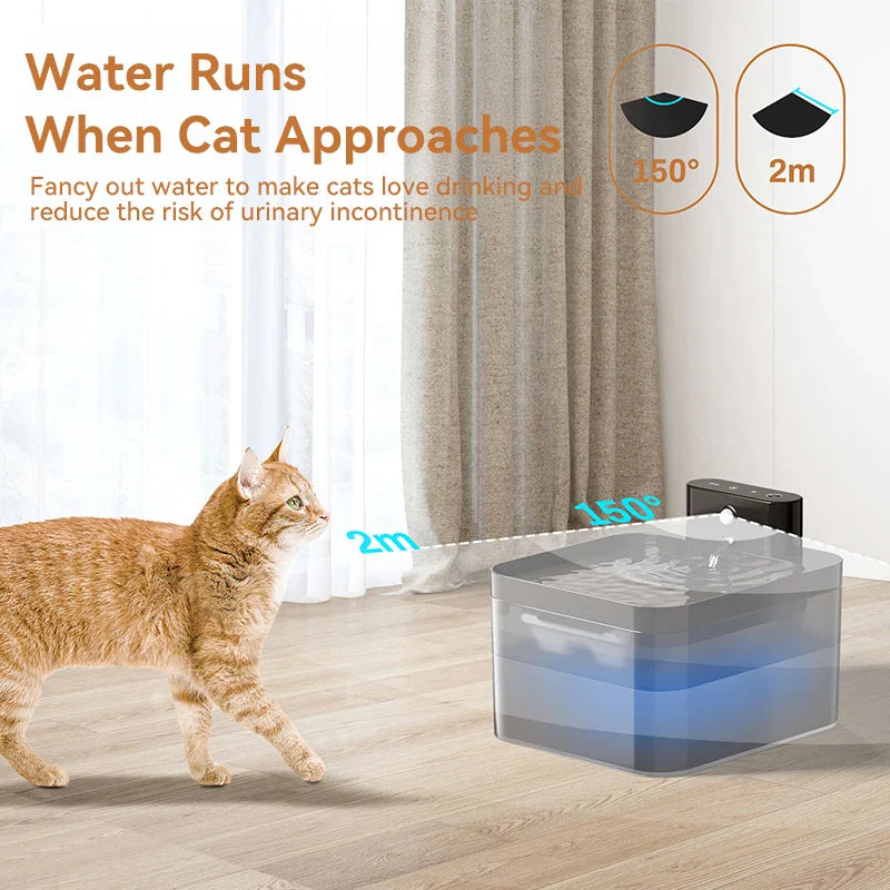 Smart Cat Hydration Station