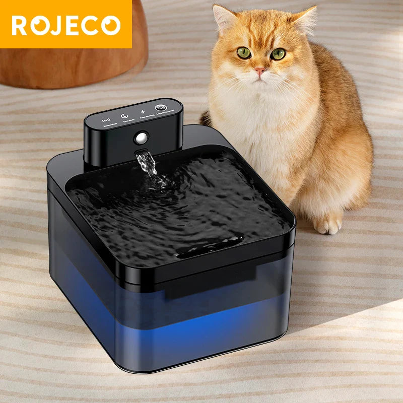 Smart Cat Hydration Station